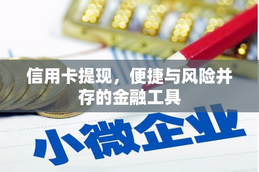 洱源信用卡提现，便捷与风险并存的金融工具