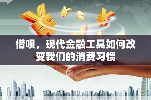 红寺堡借呗，现代金融工具如何改变我们的消费习惯