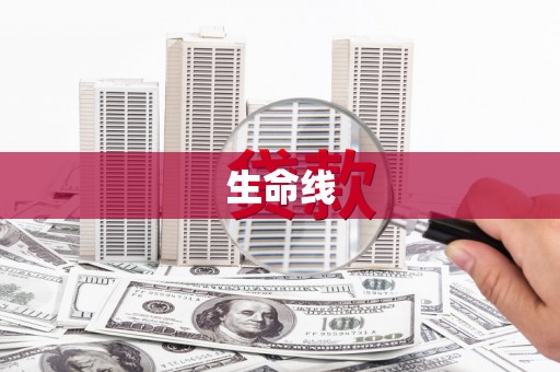 洱源生命线