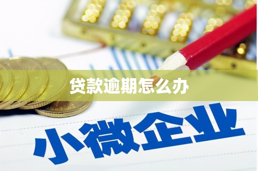祥符贷款逾期怎么办