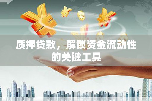长海质押贷款，解锁资金流动性的关键工具