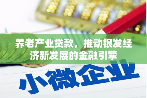 长海养老产业贷款，推动银发经济新发展的金融引擎