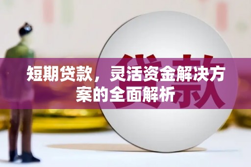 大寮短期贷款，灵活资金解决方案的全面解析