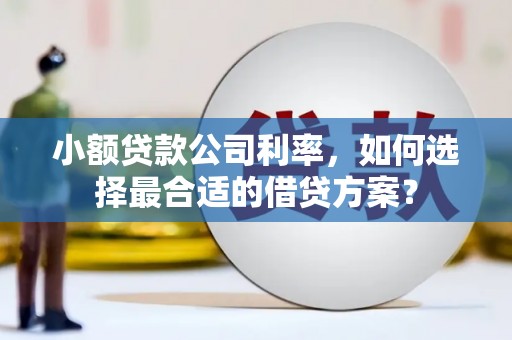 大寮小额贷款公司利率，如何选择最合适的借贷方案？