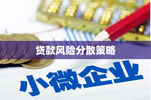 惠济贷款风险分散策略