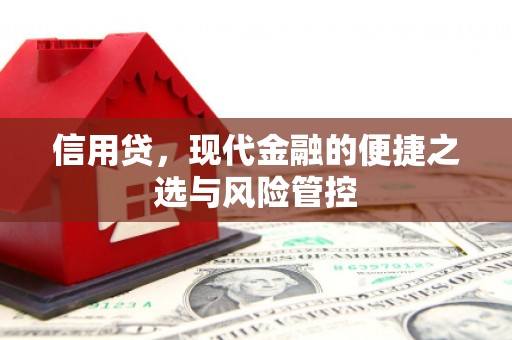 南郑信用贷，现代金融的便捷之选与风险管控