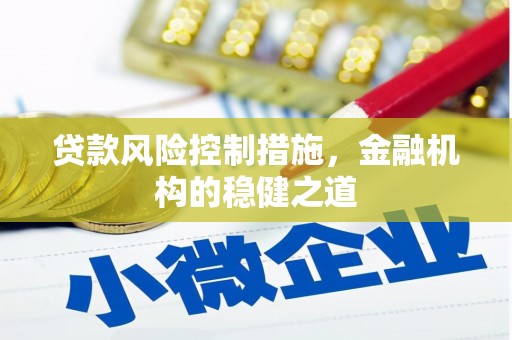 惠济贷款风险控制措施，金融机构的稳健之道
