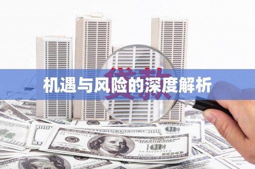 新庄机遇与风险的深度解析