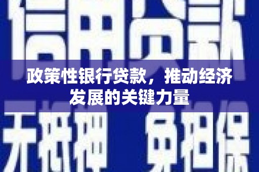 江苏政策性银行贷款，推动经济发展的关键力量