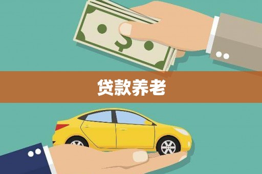怀集贷款养老