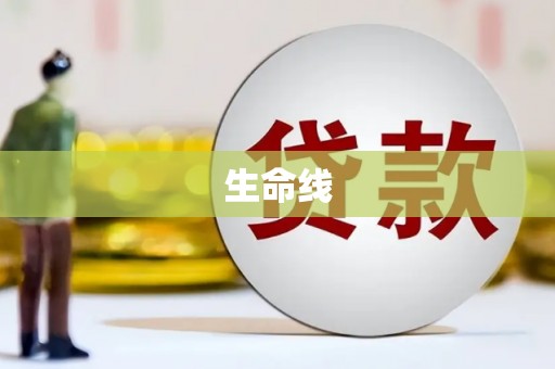 怀集生命线
