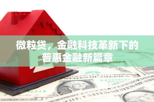 泸溪微粒贷，金融科技革新下的普惠金融新篇章