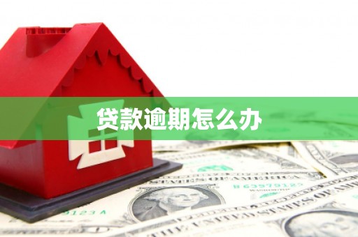鸡东贷款逾期怎么办