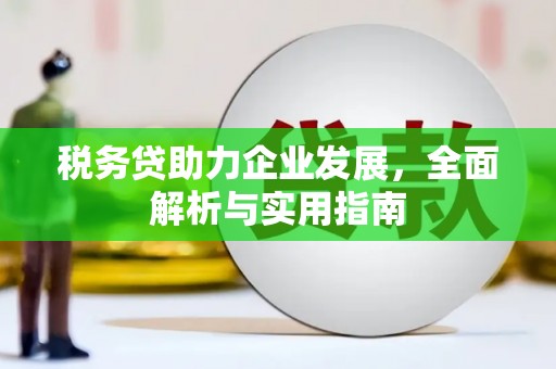 中埔税务贷助力企业发展，全面解析与实用指南