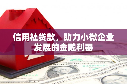 惠济信用社贷款，助力小微企业发展的金融利器