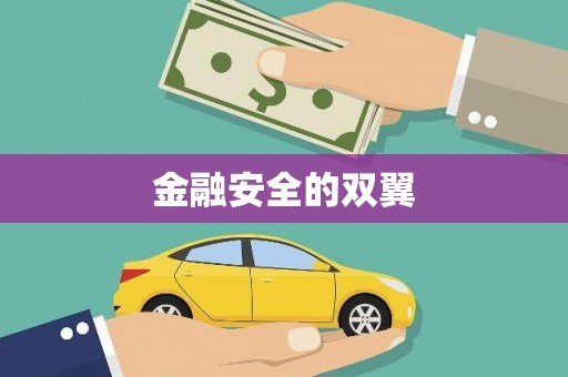 闵行金融安全的双翼