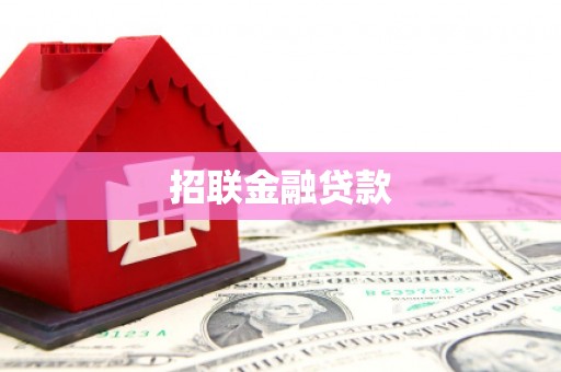 台东招联金融贷款