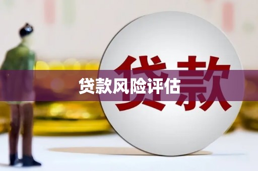 白云贷款风险评估