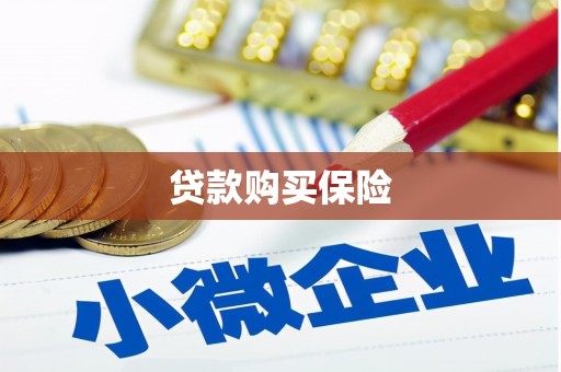 鄯善贷款购买保险