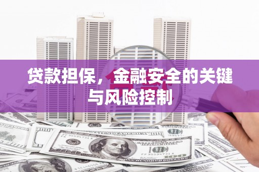 南涧贷款担保，金融安全的关键与风险控制