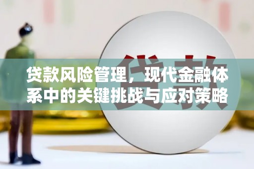 山丹贷款风险管理，现代金融体系中的关键挑战与应对策略