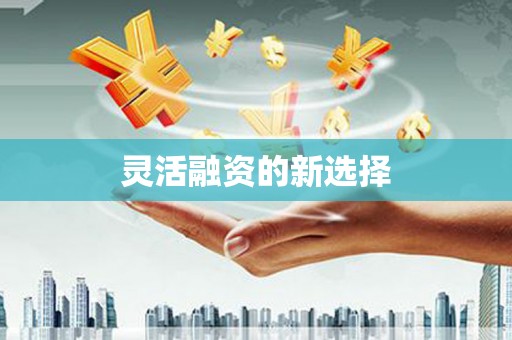 历城灵活融资的新选择