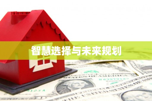 历城智慧选择与未来规划