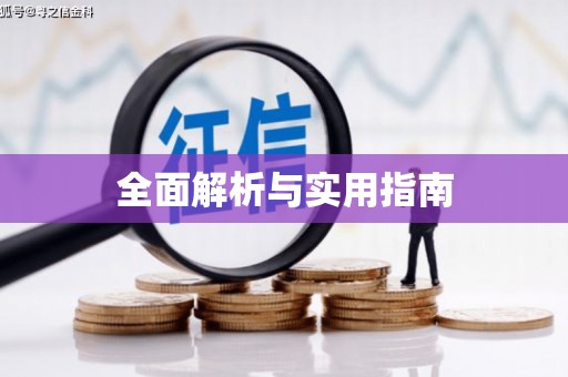 林西全面解析与实用指南