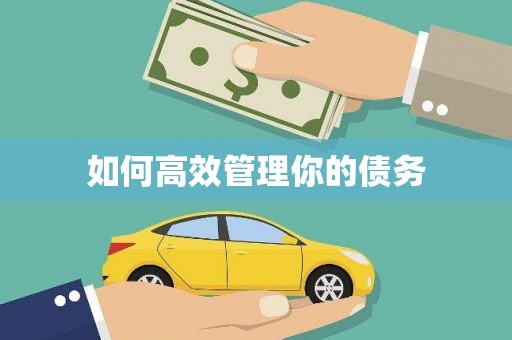 南县如何高效管理你的债务