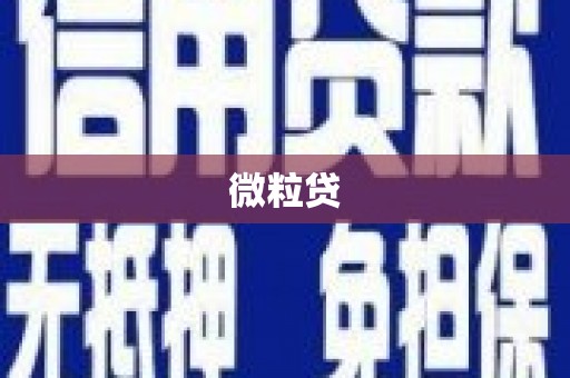 士林微粒贷