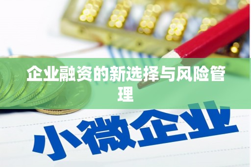 南县企业融资的新选择与风险管理
