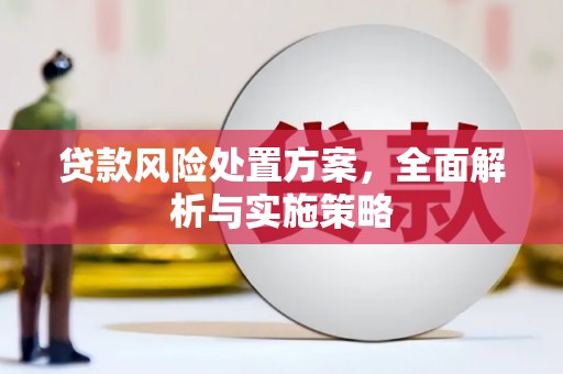 阿里贷款风险处置方案，全面解析与实施策略
