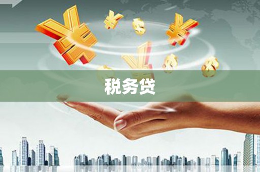 马公税务贷