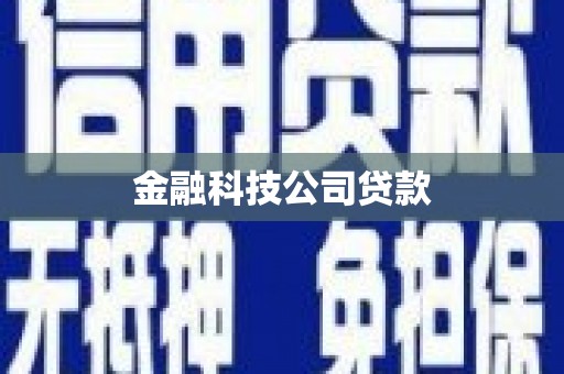 沙田金融科技公司贷款