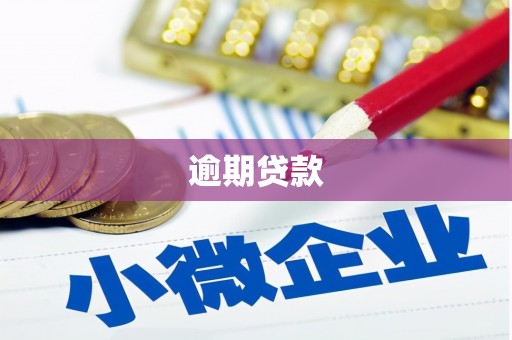 拉萨逾期贷款