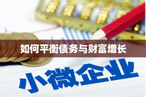 沈河如何平衡债务与财富增长
