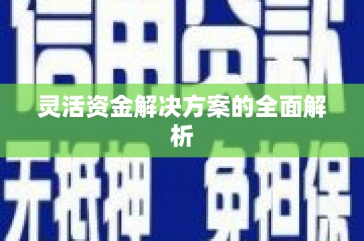 板桥灵活资金解决方案的全面解析