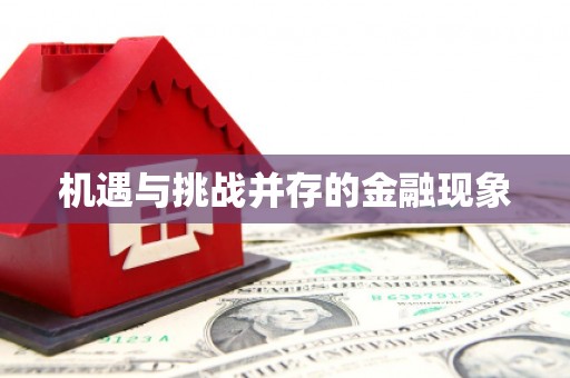 八宿机遇与挑战并存的金融现象