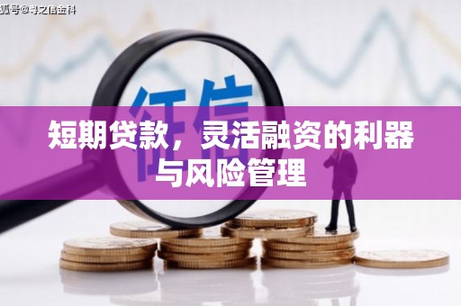 海港短期贷款，灵活融资的利器与风险管理