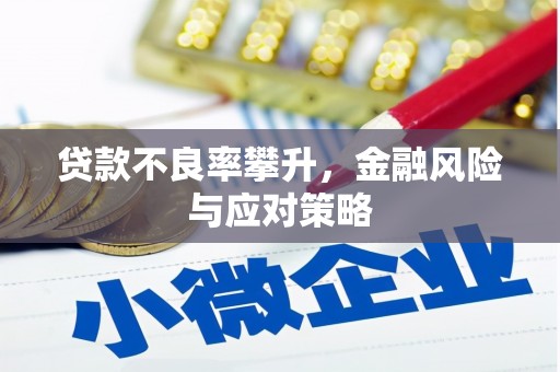 海陵贷款不良率攀升，金融风险与应对策略